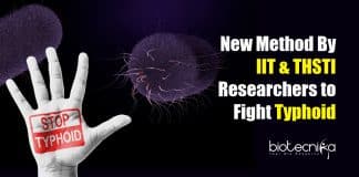New method to fight typhoid