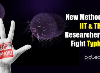 New Method Devised By IIT & THSTI Researchers to Fight Typhoid New method to fight typhoid