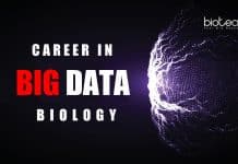 Career in Big Data Biology – Scope, Job opportunities & Eligibility Career in Big Data Biology