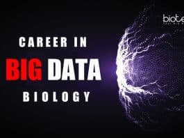 Career in Big Data Biology