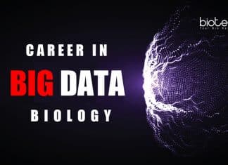 Career in Big Data Biology