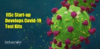 Equine Biotech Covid-19 test
