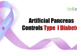 Artificial pancreas controls diabetes