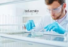 Freshers Biotech Jobs