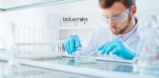 Freshers Biotech Jobs