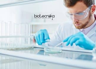 Freshers Biotech Jobs