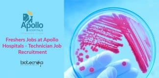 Freshers Jobs at Apollo