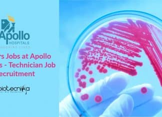 Freshers Jobs at Apollo