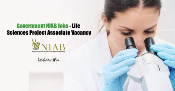 Government NIAB Jobs