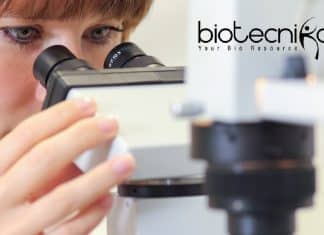 Govt K-DISC Project Recruitment – Applications Invited Govt K-DISC Project Recruitment