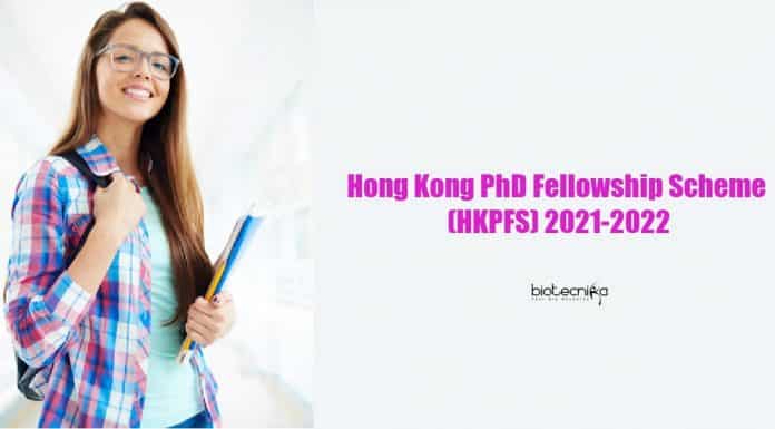 Hong Kong PhD