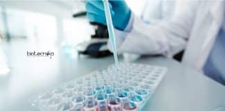IACS PhD Mol Bio