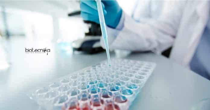 IACS PhD Mol Bio