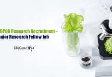 ICAR-NBPGR Research Recruitment – Junior Research Fellow Job ICAR-NBPGR Research Recruitment
