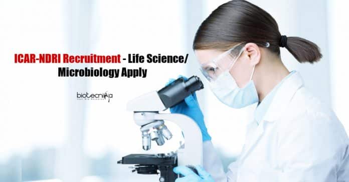 ICAR-NDRI Recruitment