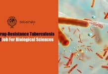 ICGEB Drug-Resistance Tuberculosis Project Job For Biological Sciences ICGEB Biological Science