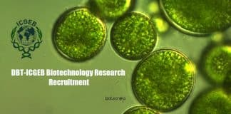 ICGEB Biotechnology Research Recruitment