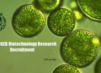 ICGEB Biotechnology Research Recruitment