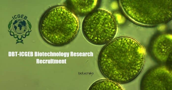ICGEB Biotechnology Research Recruitment