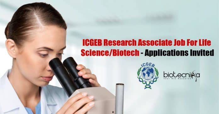 ICGEB Research Job