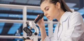 ICMR-NICPR Bioinformatics Research Fellow