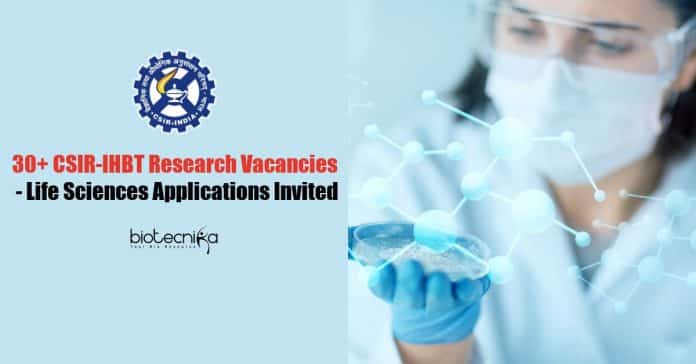 IHBT Job Openings