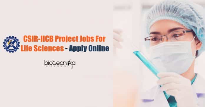 IICB Lifescience Project Assistant