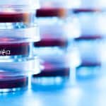 IISER Bhopal Life Science DST-SERB Junior Research Fellow Job IISER Bhopal Life Science