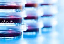 IISER Bhopal Life Science DST-SERB Junior Research Fellow Job IISER Bhopal Life Science