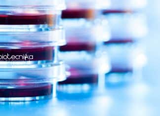 IISER Bhopal Life Science