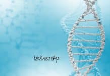 IISER Kolkata Research Fellow Job – Biotech & Biochemistry Apply IISER Kolkata Research Fellow