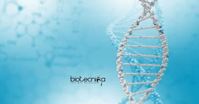 IISER Kolkata Research Fellow