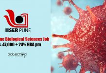 IISER Pune Biological Sciences Job – Rs. 47,000 + 24% HRA pm IISER Pune Jobs