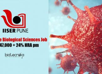 IISER Pune Jobs