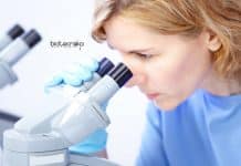 IISER TVM Project Assistant Job For Botany & Zoology Candidates IISER TVM Botany Job