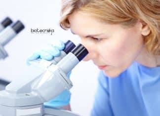 IISER TVM Botany Job