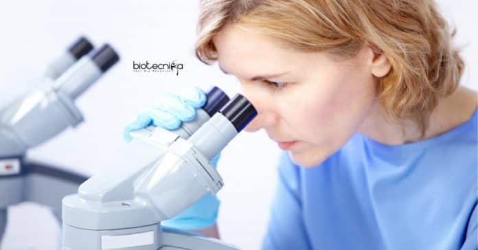 IISER TVM Botany Job