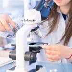 IISER Tirupati PDRF Program In Biology – Applications Invited IISER Tirupati PDRF Program