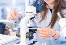 IISER Tirupati PDRF Program In Biology – Applications Invited IISER Tirupati PDRF Program