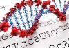 IIT Delhi Bioinformatics Jobs