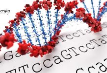 IIT Delhi Project Scientist Job Opening – Applications Invited IIT Delhi Bioinformatics Jobs