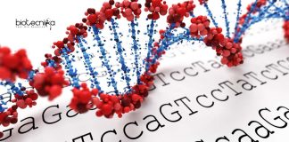 IIT Delhi Bioinformatics Jobs