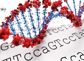 IIT Delhi Bioinformatics Jobs