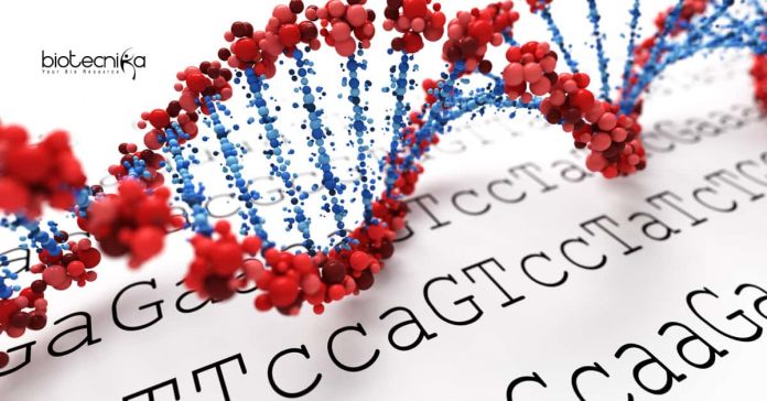 IIT Delhi Bioinformatics Jobs