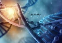 IIT Delhi PhD Life Science Research Associate Job – Applications Invited IIT Delhi PhD