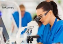 IIT Kanpur Biotech Vacancy
