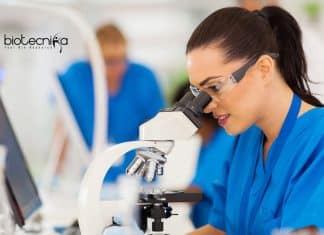 IIT Kanpur Biotech Vacancy