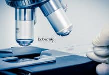 IIT Kanpur JRF Vacancy