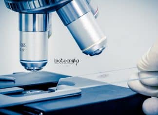 IIT Kanpur JRF Vacancy