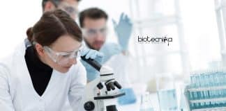 IIT Roorkee Associate Job